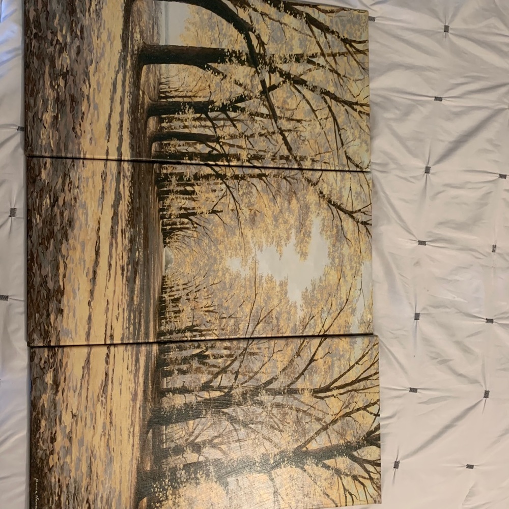 3 piece wall decor